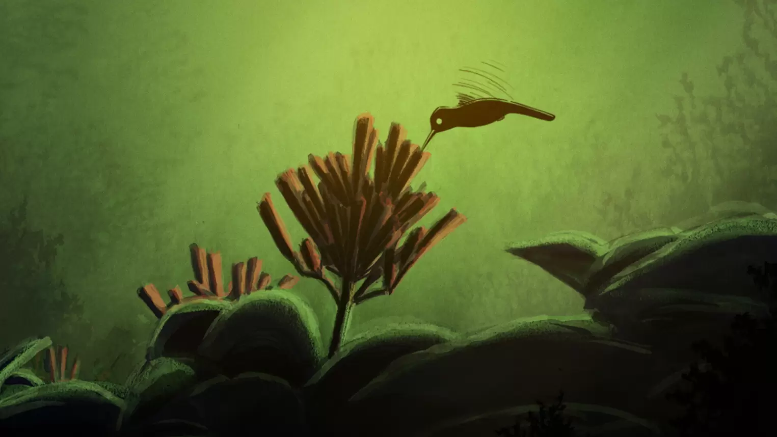 打火英雄小蜂鳥-圖片